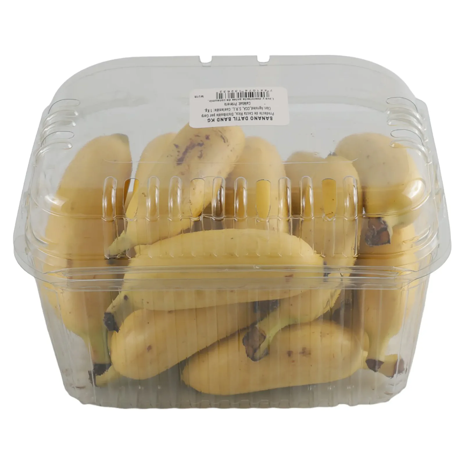 Banano Datil 12 a 15 Unids