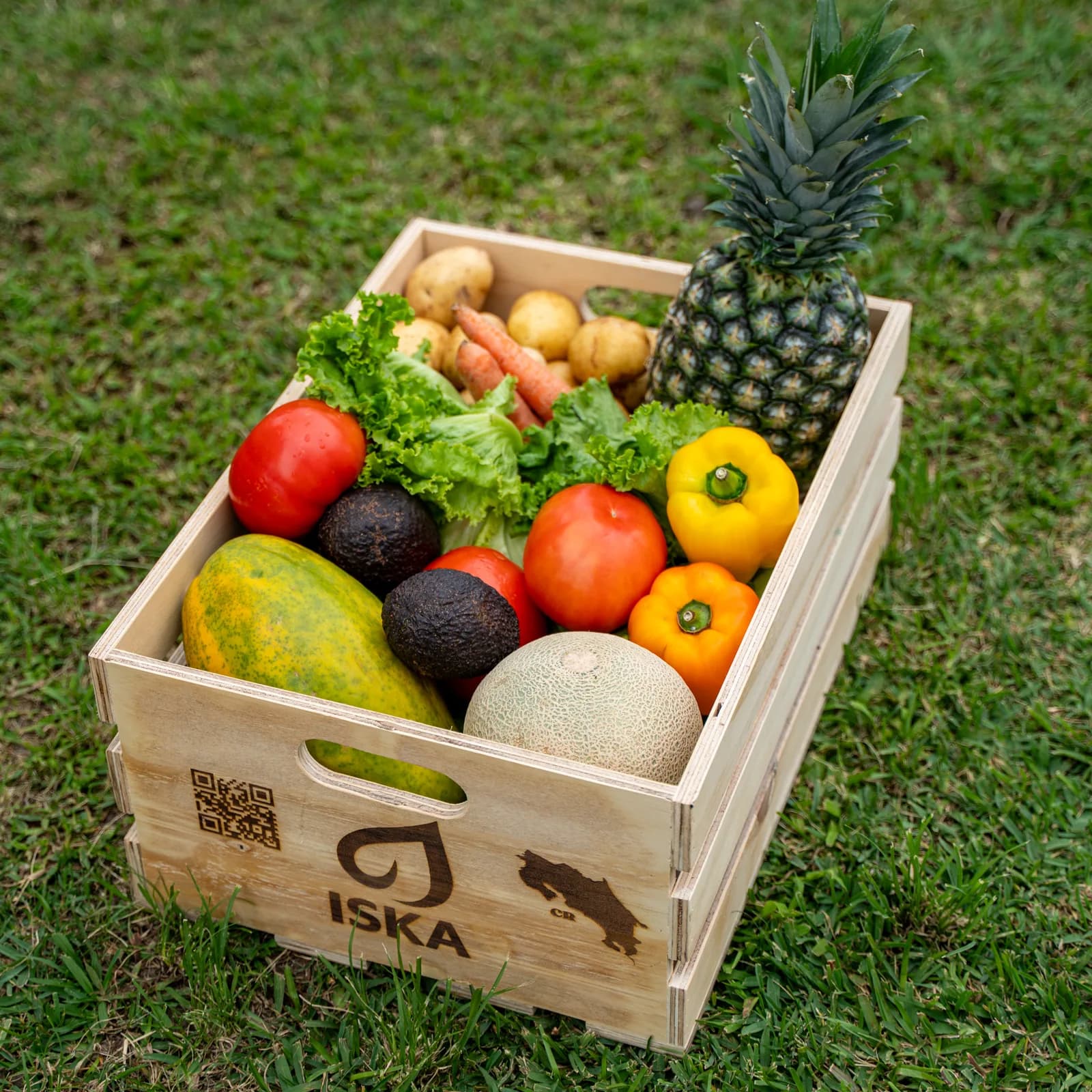 Premium: 3-4 personas | 12-14kg.