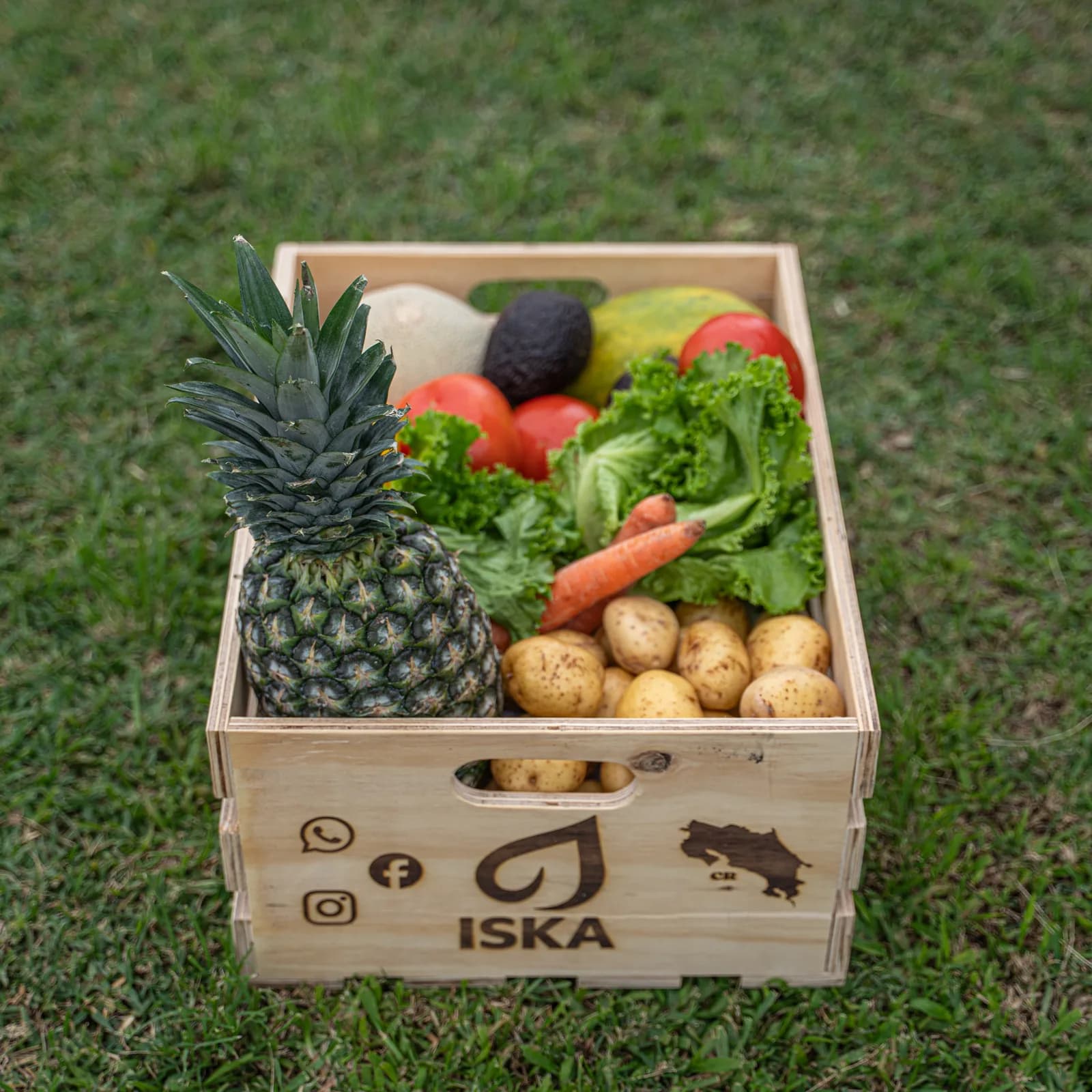 Premium: 5-6 personas | 14-16kg.